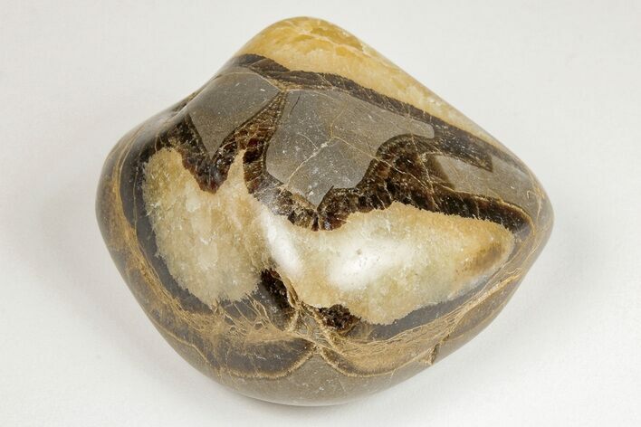 Wide, Polished Septarian Pebble - Utah #207814